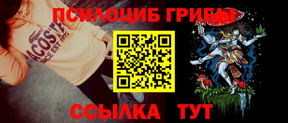 Павлово  Псилоцибиновые грибы Magic Shrooms  Псилоцибиновые грибы Cubensis  Вход с VPN 